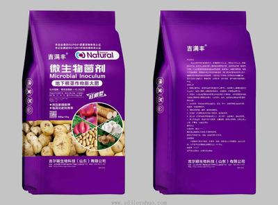 地下根茎作物膨大肥