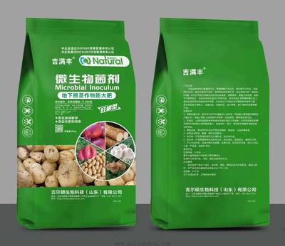 地下根茎作物膨大肥